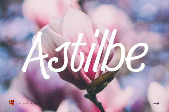 Astilbe Font: A Versatile Script for Modern Web Design