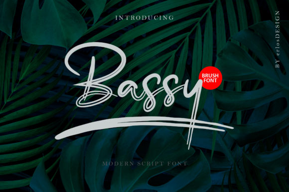 Bassy: A Stylish Script Font for Editorial Design