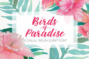 Birds of Paradies Font Review for Real Campaign Design