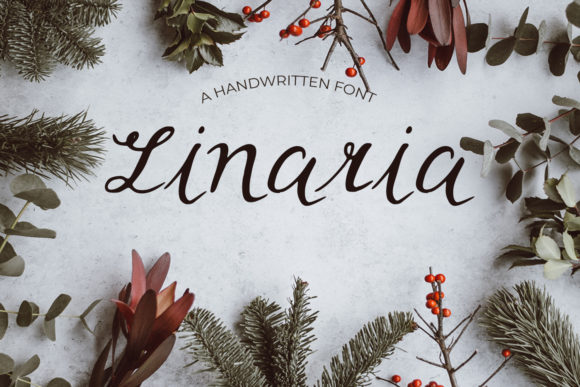 Linaria: A Delicate Script Handwritten Font for Elegant Editorial Design