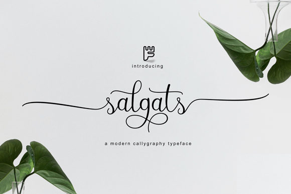 Salgats: A Script Font That Elevates Campaign Elegance